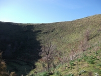 Monte_Mojo - 30122011 017.jpg